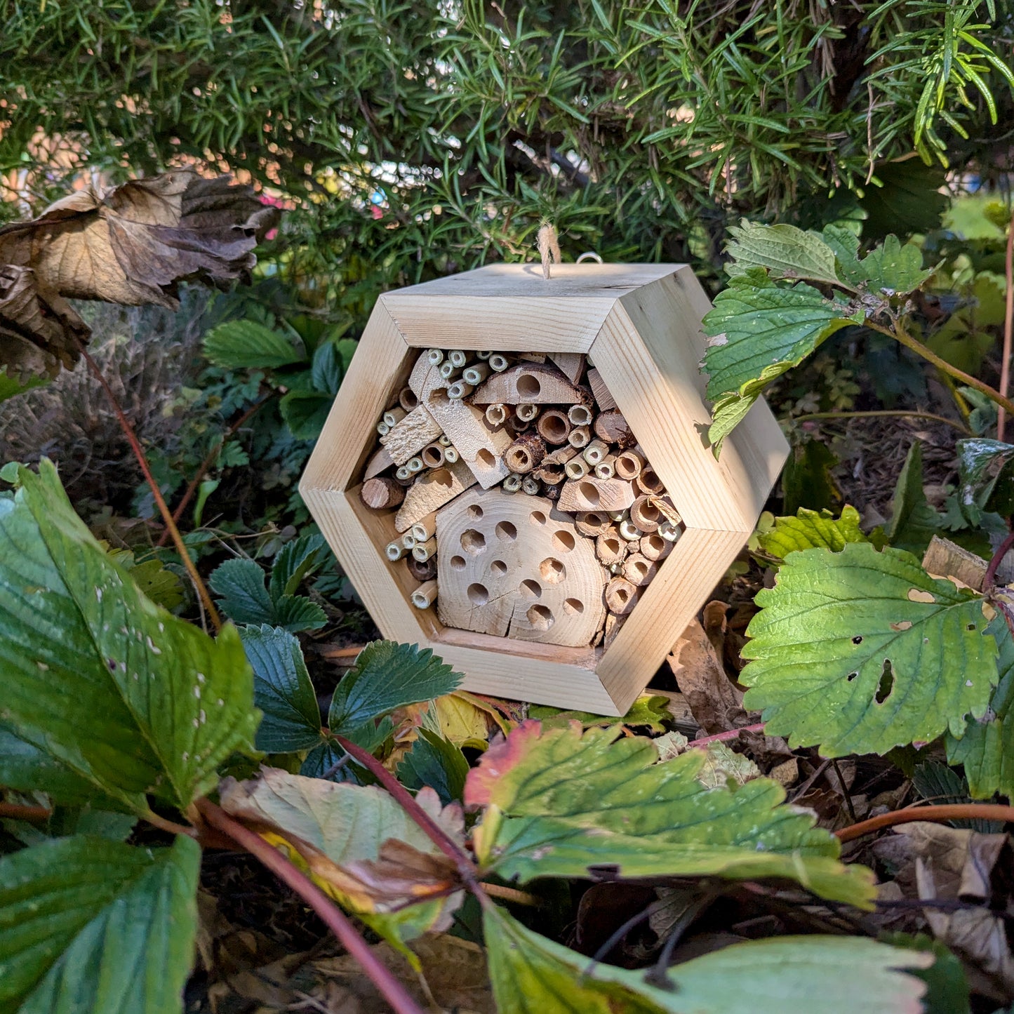 Honeycomb Bee Hotel - Reclaimed Pallet Wood