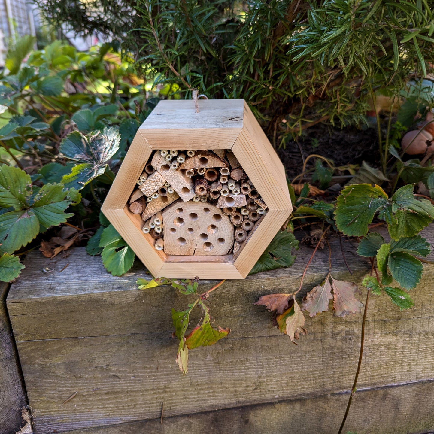 Honeycomb Bee Hotel - Reclaimed Pallet Wood