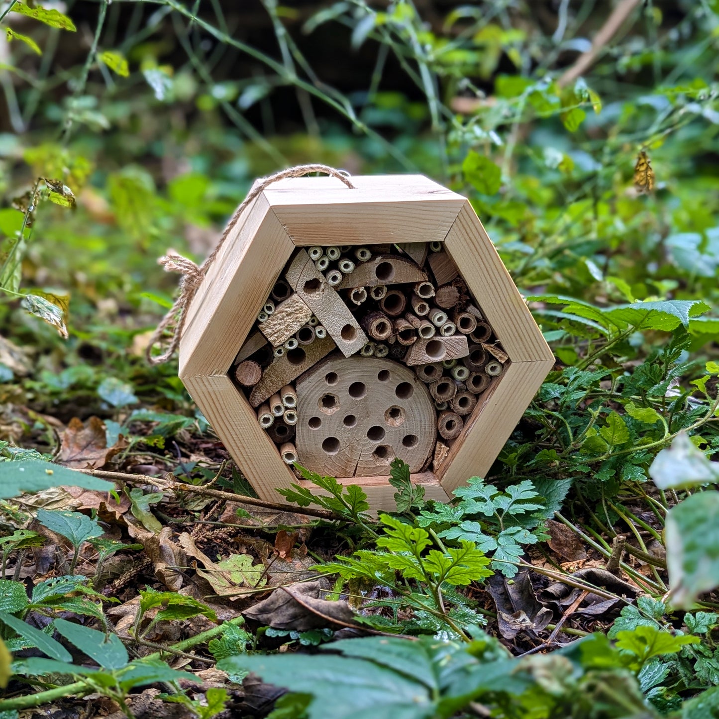 Honeycomb Bee Hotel - Reclaimed Pallet Wood