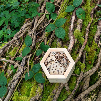 Honeycomb Bee Hotel - Reclaimed Pallet Wood