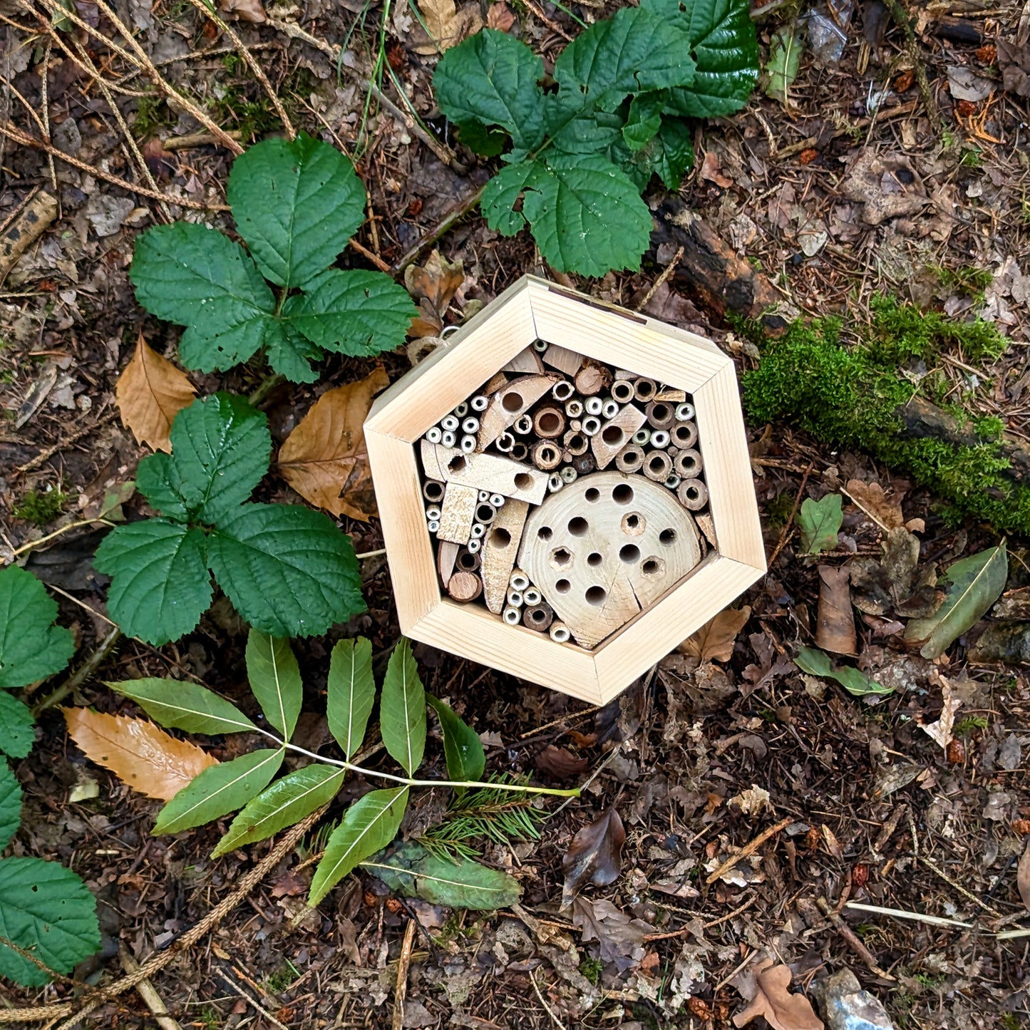 Honeycomb Bee Hotel - Reclaimed Pallet Wood