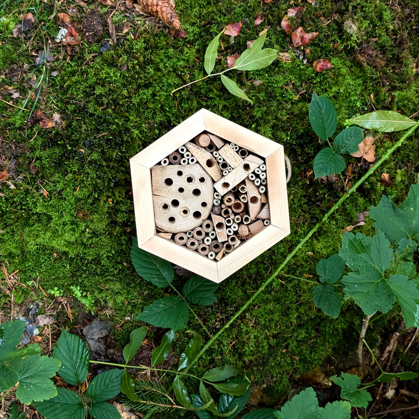 Honeycomb Bee Hotel - Reclaimed Pallet Wood