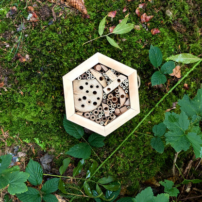 Honeycomb Bee Hotel - Reclaimed Pallet Wood