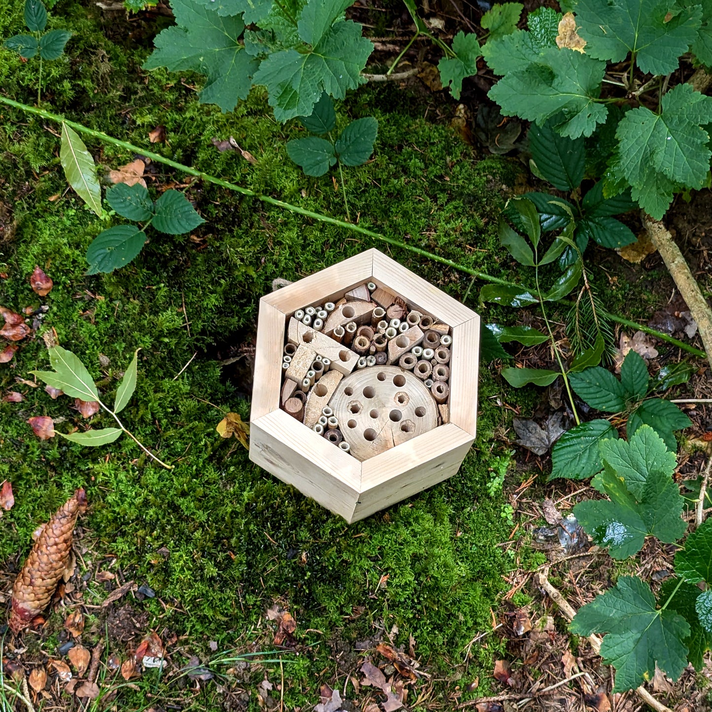 Honeycomb Bee Hotel - Reclaimed Pallet Wood