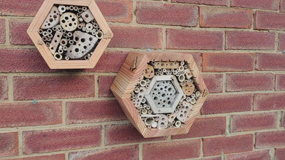 Luxury Honeycomb Bee Hotel with Clay Interior - Ideal for Solitary Bees