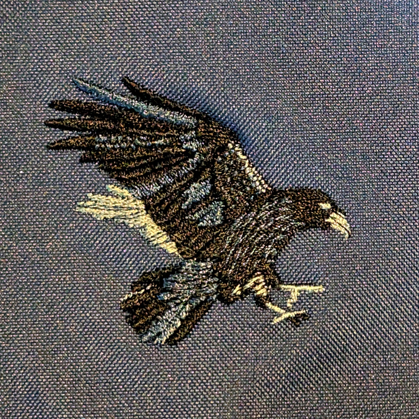 Raven Embroidered Long Sleeve T-Shirt