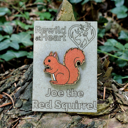 Red Squirrel Wooden Pin Badge