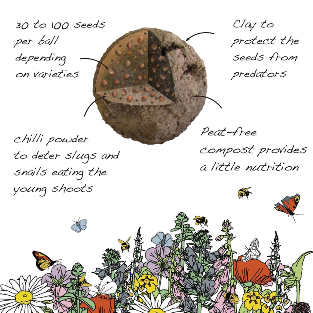 Mini Seedball Tin: Bee Mix, Wildflowers for a Healthy Garden #Savethebees