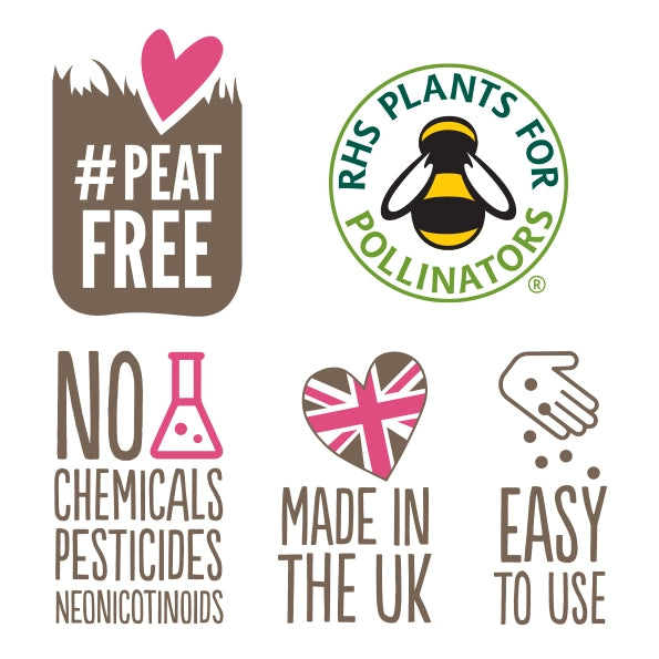 Mini Seedball Tin: Bee Mix, Wildflowers for a Healthy Garden #Savethebees