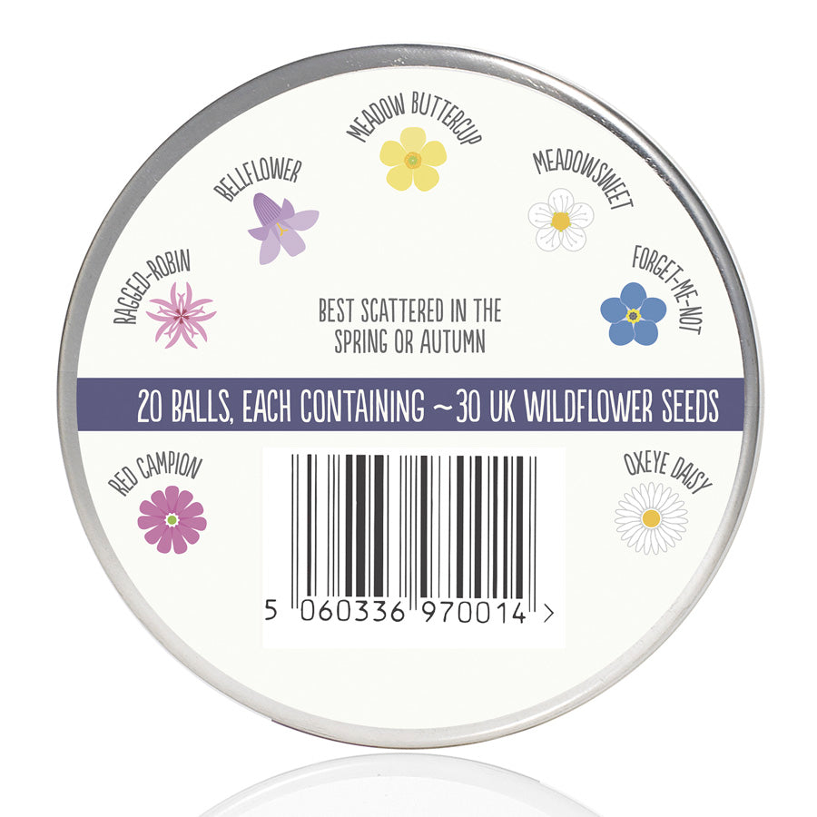 Seedball Tin: Wonderland, Wildflowers for shade
