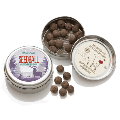 Seedball Tin: Wonderland, Wildflowers for shade