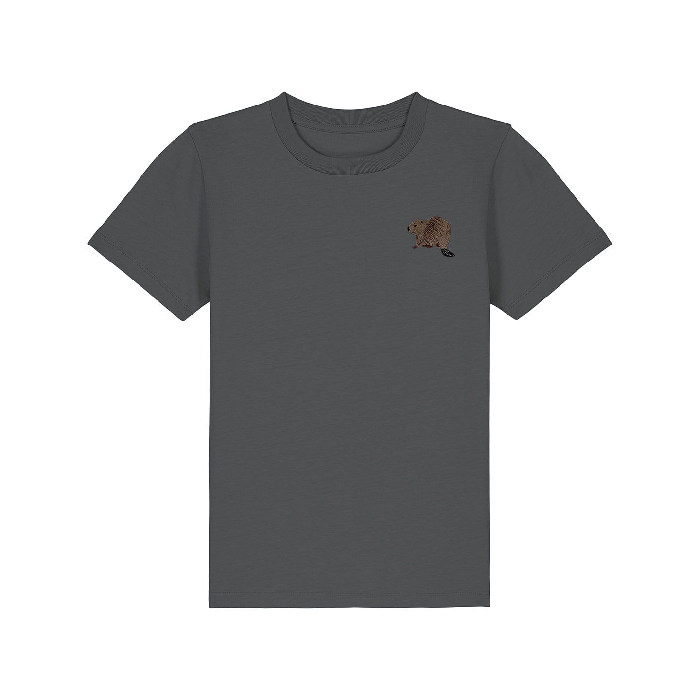 Beaver Riverside Embroidered Kids T-Shirt