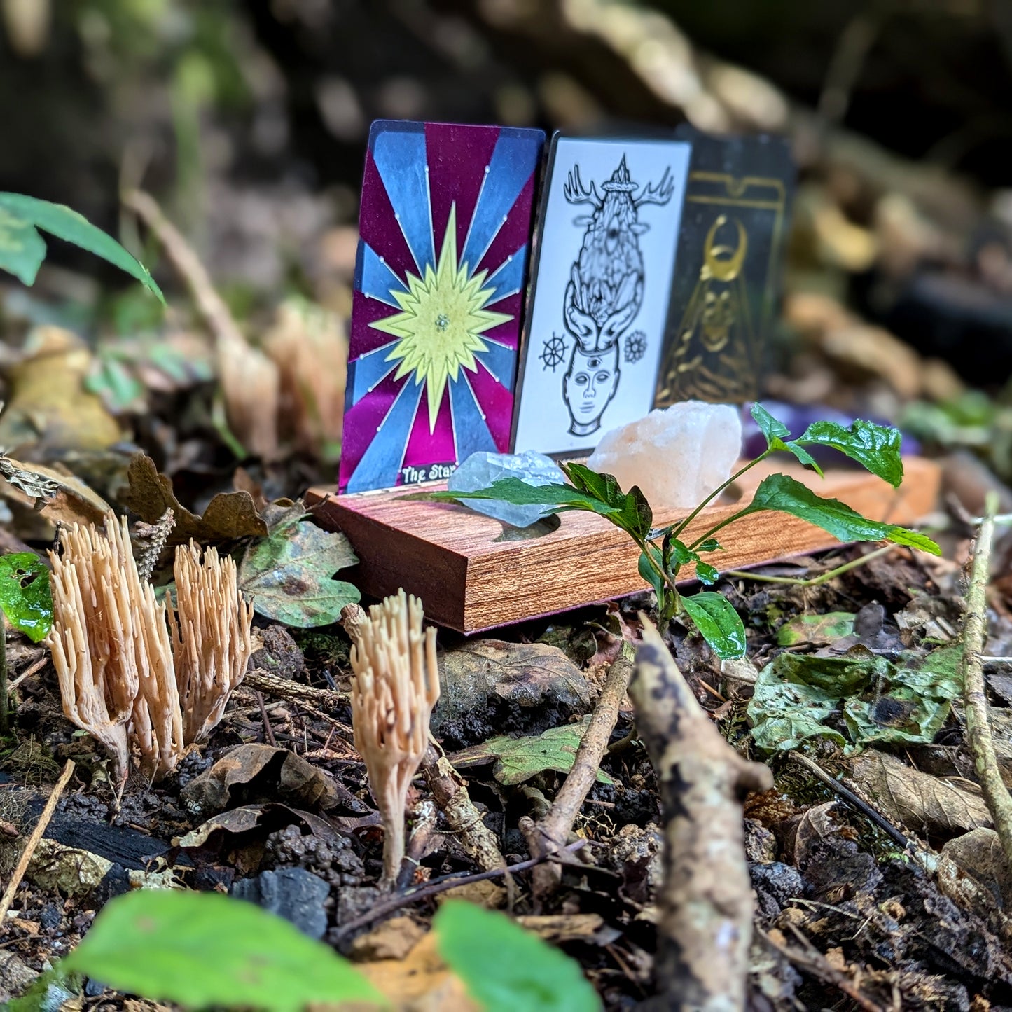 Hand-Crafted Wooden Tarot Card Holder