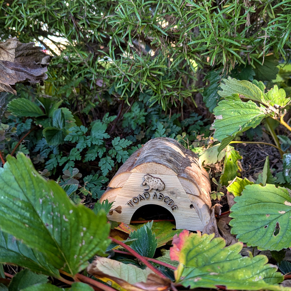 Frog Log & Toad Abode – Sustainable Garden Shelters | Rewild at Heart