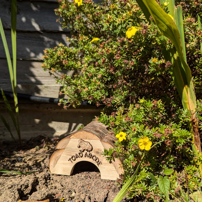 Frog Log & Toad Abode, Garden Wildlife Homes