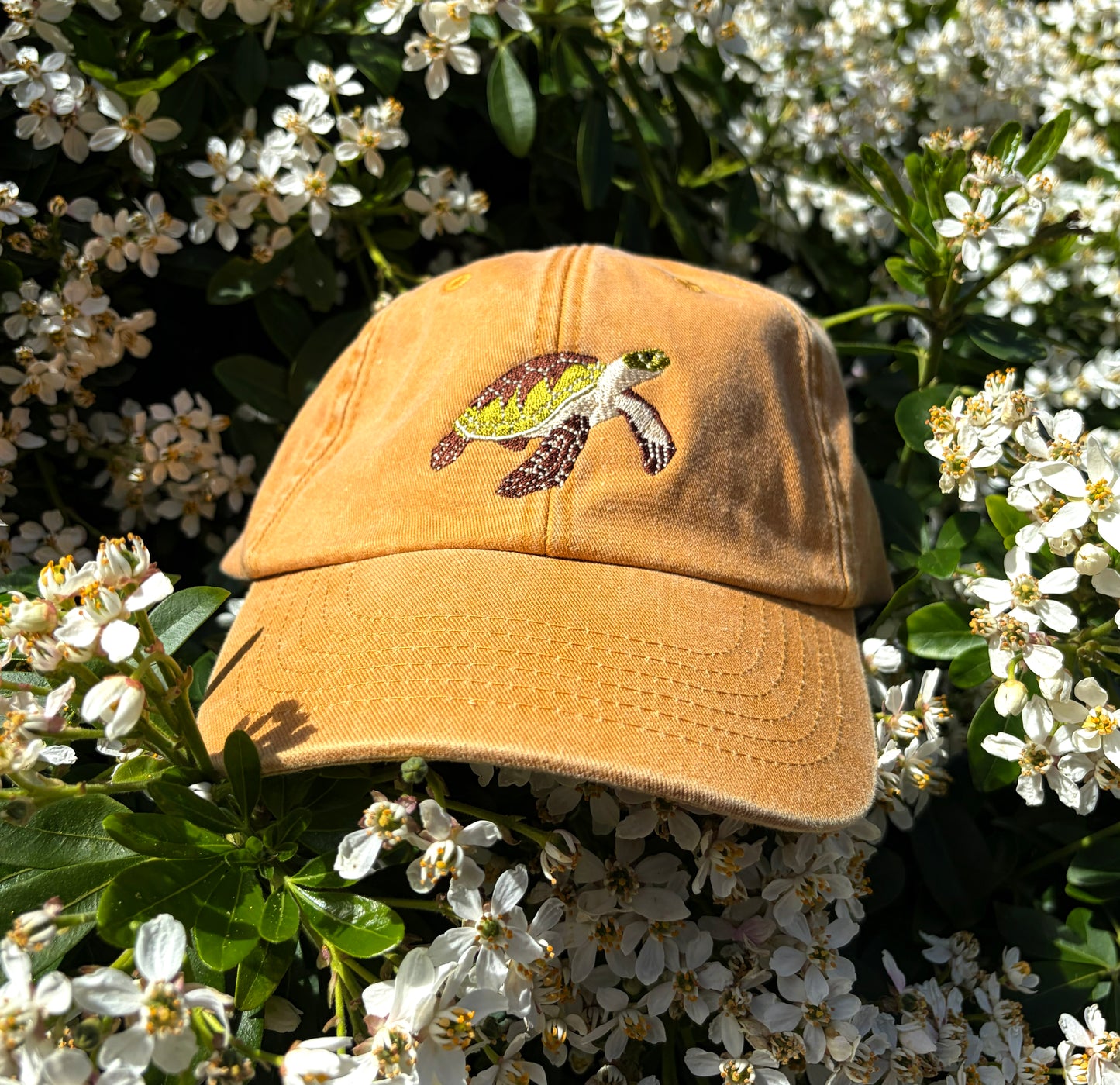 Sea Turtle Embroidered Baseball Cap