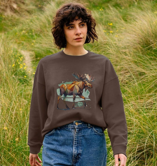 Mighty Moose Mosaic Women's Oversized Jumper