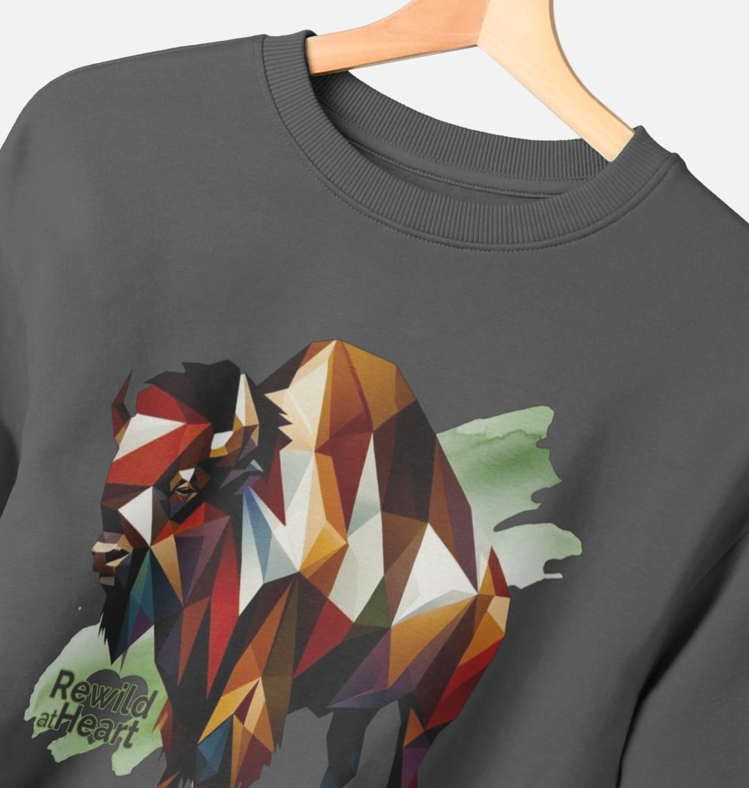 European Bison | Women's Oversized Jumper