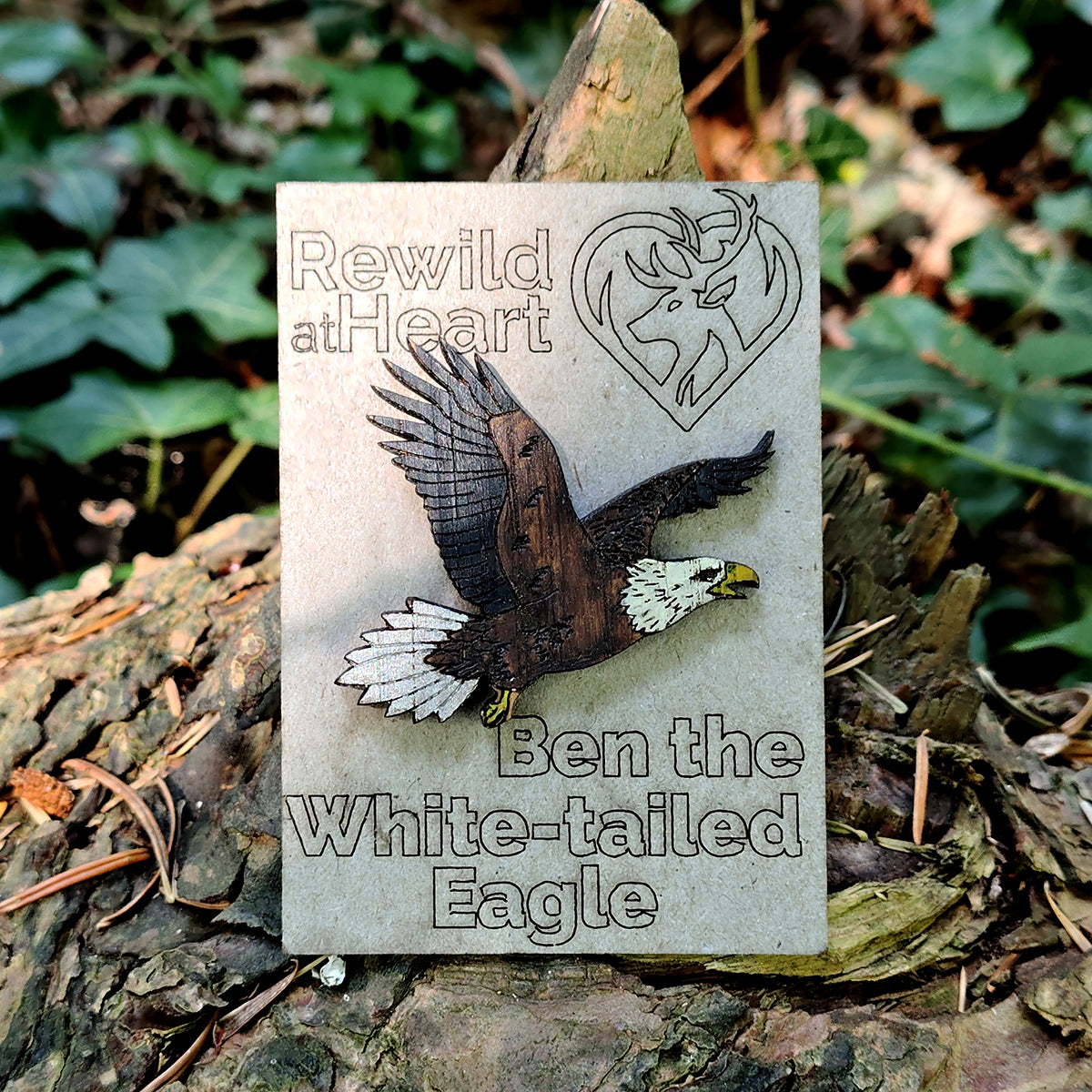 White-Tailed Eagle Wooden Pin Badge