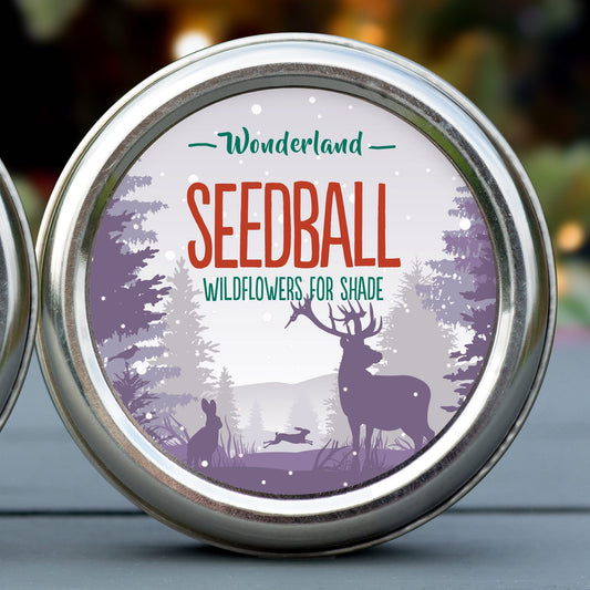 Seedball Tin: Wonderland, Wildflowers for shade